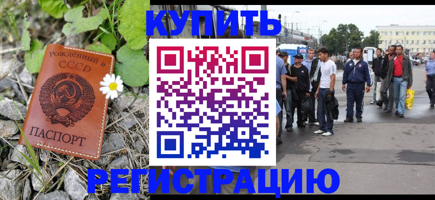 прописка гарантия в Химках